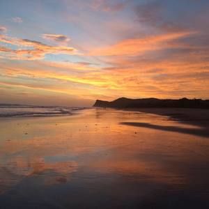 Meet your Posher, Cathy